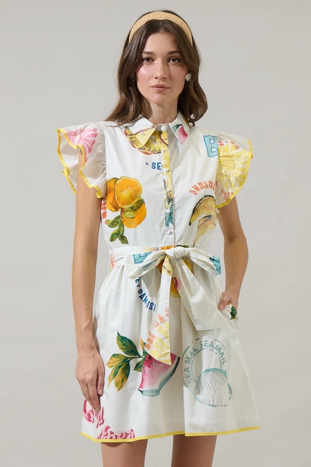 Dresses | Aine's Boutique Dresses | Aine's Boutique